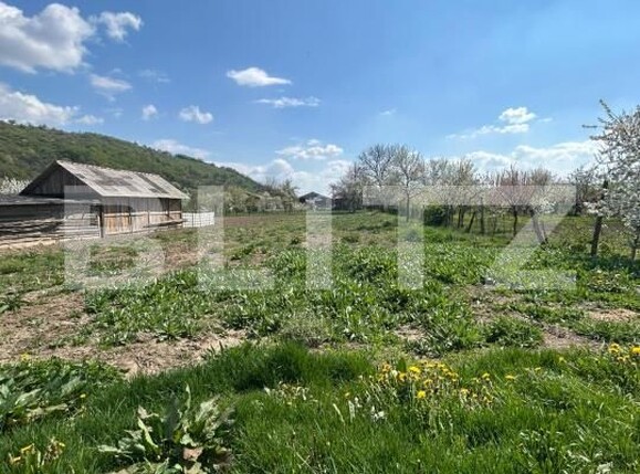 Casa de vânzare 2 camere Cășeiu - 192985CV | BLITZ Cluj-Napoca | Poza3