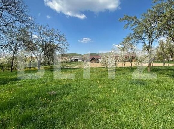 Casa de vânzare 2 camere Cășeiu - 192985CV | BLITZ Cluj-Napoca | Poza4