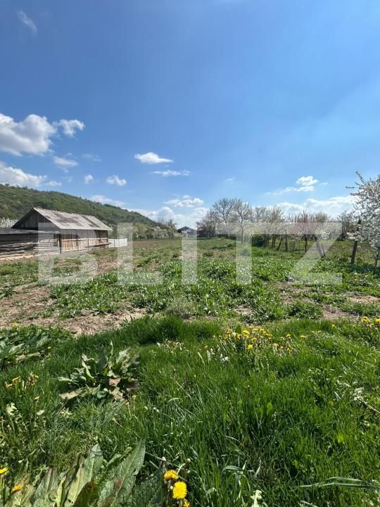 Casa de vânzare 2 camere Cășeiu - 192985CV | BLITZ Cluj-Napoca | Poza3