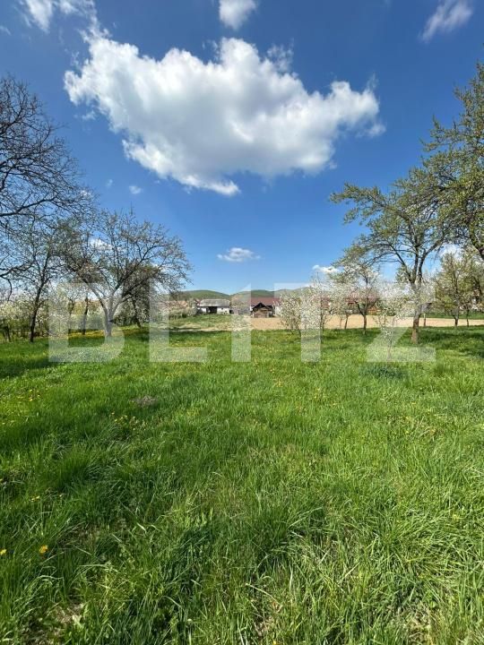 Casa de vânzare 2 camere Cășeiu - 192985CV | BLITZ Cluj-Napoca | Poza4