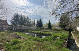 Investitie: Teren constructii si pastravarie - Prejmer, Brasov