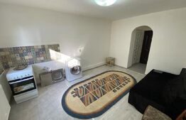 Garsoniera 21 mp, etaj intermediar, centrala proprie, Dambul Rotund