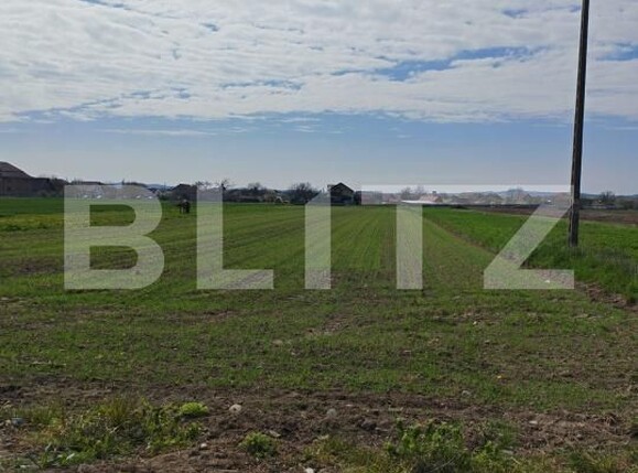 Teren de vânzare Mihai Viteazu - 193012TV | BLITZ Cluj-Napoca | Poza1