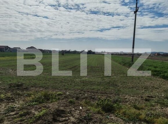 Teren de vânzare Mihai Viteazu - 193012TV | BLITZ Cluj-Napoca | Poza2