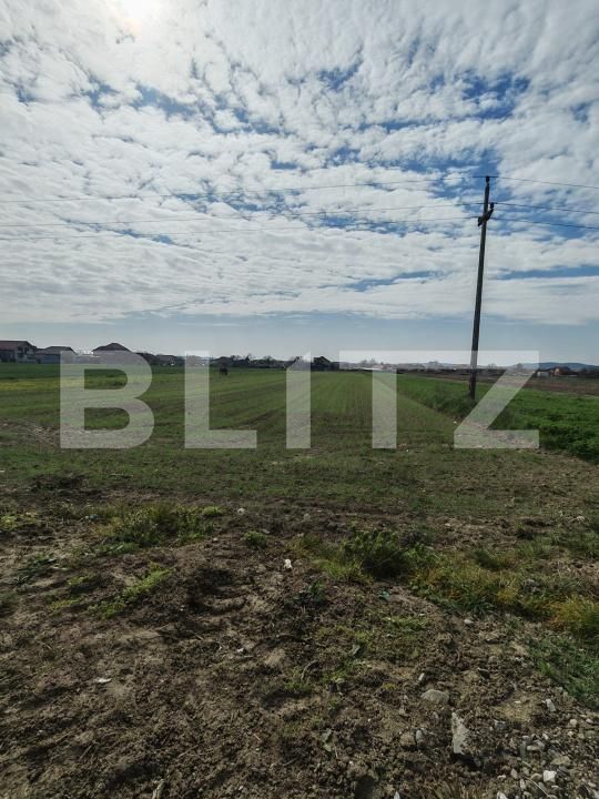 Teren de vânzare Mihai Viteazu - 193012TV | BLITZ Cluj-Napoca | Poza2