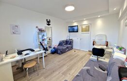 Garsoniera complet renovata, 22 mp, etaj intermediar, Expo Transilvania