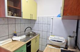 Garsoniera complet renovata, 22 mp, etaj intermediar, Expo Transilvania