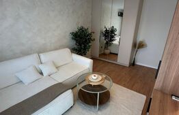 Apartament 2 camere decomandat, renovat complet, mobilat nou, Mănăștur