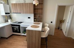 Apartament 2 camere decomandat, renovat complet, mobilat nou, Mănăștur