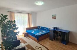 Garsoniera de inchiriat, pet frienly, parcare, zona strazii Louis Pasteur