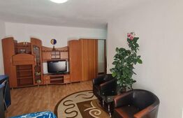 Garsoniera de inchiriat, pet frienly, zona strazii Louis Pasteur
