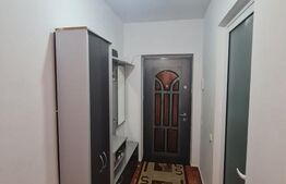 Garsoniera de inchiriat, pet frienly, parcare, zona strazii Louis Pasteur