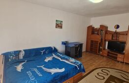 Garsoniera de inchiriat, pet frienly, parcare, zona strazii Louis Pasteur