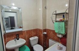 Garsoniera de inchiriat, pet frienly, zona strazii Louis Pasteur