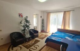 Garsoniera de inchiriat, pet frienly, parcare, zona strazii Louis Pasteur