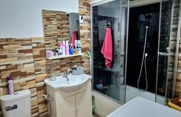 Apartament cu 3 camere, parcare, gradina, zona Porii