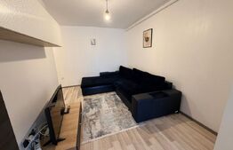 2 camere, etaj intermediar, la cheie, garaj inclus, zona Corneliu Coposu