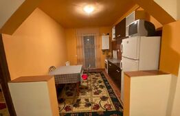 Apartament o cameră, 45 mp, zona Florilor