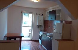 Apartament o cameră, 45 mp, zona Florilor