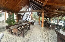 Pensiune, 2 corpuri, ciubar, restaurant si microferma, 600 mp, zona Babarunca
