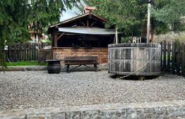 Pensiune, 2 corpuri, ciubar, restaurant si microferma, 600 mp, zona Babarunca