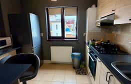 Apartament cu 2 camere, 60 mp, etaj 1, parcare, Buna Ziua