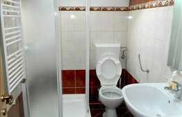 Casa de vanzare 125 mp utili, cu teren 225 mp, front 20 ml, imobil nou