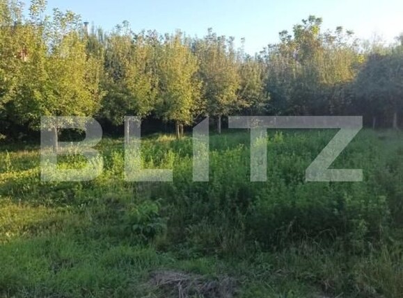 Casa de vânzare 4 camere Stupini - 193124CV | BLITZ Brașov | Poza7