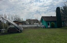Investitie: Casa cu teren constructii si pastravarie - Prejmer, Brasov