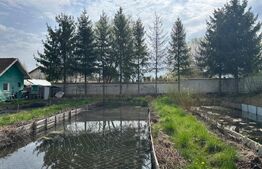 Investitie: Casa cu teren constructii si pastravarie - Prejmer, Brasov