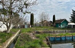 Investitie: Casa cu teren constructii si pastravarie - Prejmer, Brasov