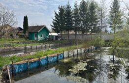 Investitie: Casa cu teren constructii si pastravarie - Prejmer, Brasov