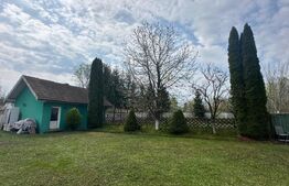 Investitie: Casa cu teren constructii si pastravarie - Prejmer, Brasov
