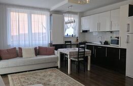 Apartament 2 camere + balcon 11 mp, priză electrică, Manastur 