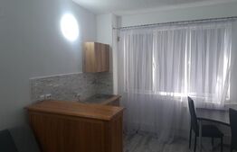 Garsoniera de inchiriat, in Dambul Rotund, zona Lombului