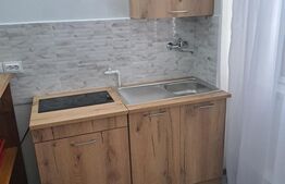 Garsoniera de inchiriat, in Dambul Rotund, zona Lombului