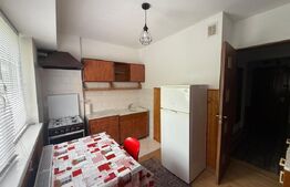 Apartament cu 2 camere, zona Iulius Mall
