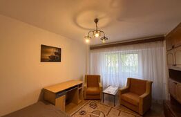 Apartament cu 2 camere, zona Iulius Mall