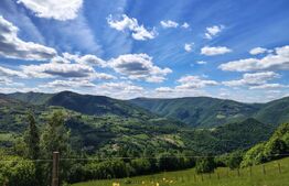Cabană din lemn masiv, 100 mp utili, teren 3000 mp, Someșu Rece