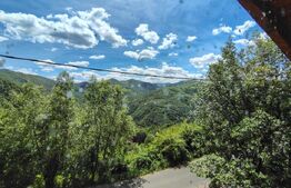 Cabană din lemn masiv, 100 mp utili, teren 3000 mp, Someșu Rece