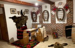 Penthouse de lux 230 mp utili + terasă panoramică 50 mp | Piscina | Gruia