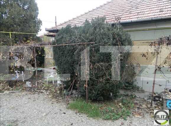Casa de vânzare 3 camere Gheorgheni - 19328CV | BLITZ Cluj-Napoca | Poza14