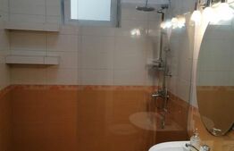 Apartament 2 camere, semidecomandat, cu gradina la casa, langa Hotel Napoca