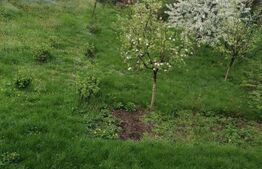 Apartament 2 camere, semidecomandat, cu gradina la casa, langa Hotel Napoca