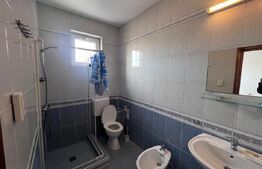 Casa de inchiriat, 7 camere, 230 mp + 415 mp teren, garaj - Gruia