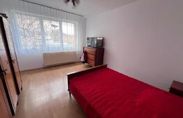 Casa de inchiriat, 7 camere, 230 mp + 415 mp teren, garaj - Gruia