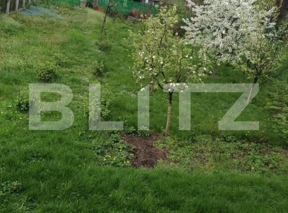 Spațiu birouri de închiriat Grigorescu - 193302SIB | BLITZ Cluj-Napoca | Poza7