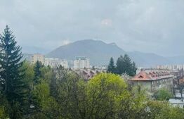 Garsoniera de vanzare, 30 mp, etaj intermediar - zona centrala