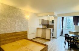 Garsoniera de vanzare, 30 mp, etaj intermediar - zona centrala