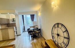 Garsoniera de vanzare, 30 mp, etaj intermediar - zona centrala